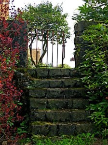 Secret Places of the Heart