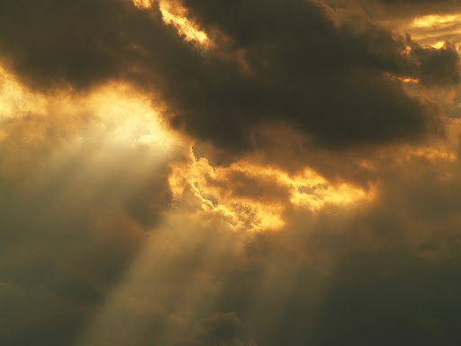 Answers from the Psalms