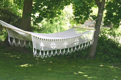 My walk in the woods