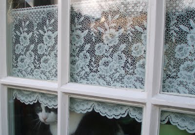 My walk in the woods