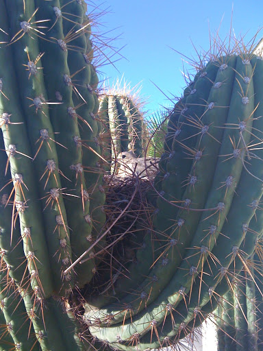 Finding God in the Desert