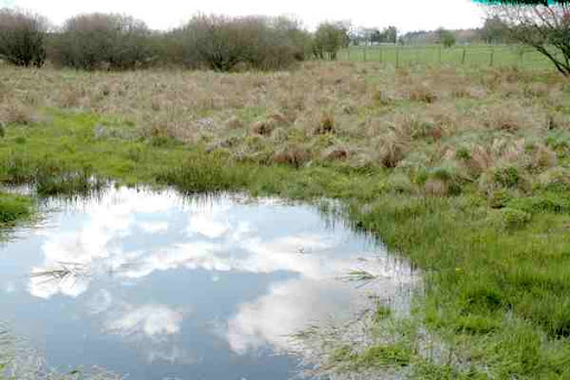 When life feels stagnant