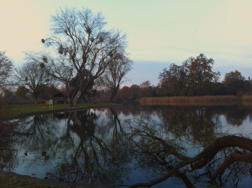 387784_2394453942741_1292704599_31945806_521243149_n