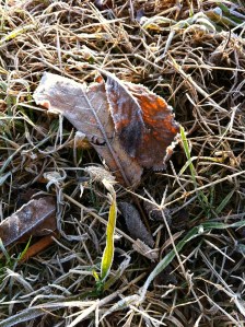 397471_2394459502880_1292704599_31945811_910466123_n