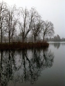 Lodi lake