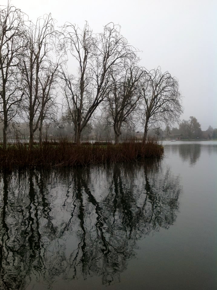 Lodi lake
