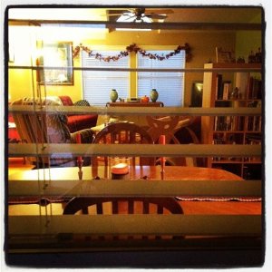 534261_3694544404190_619730090_n