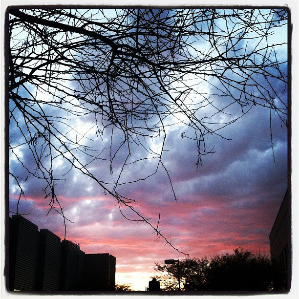 526566_4312511412979_1753797314_n