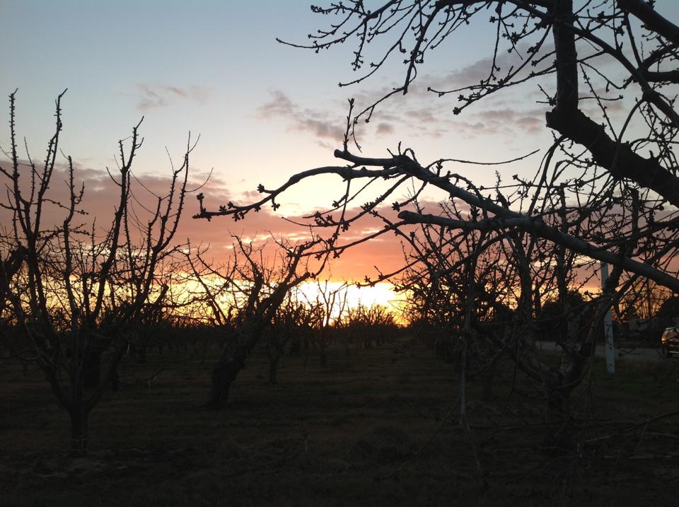 306099_4455180699622_1931130949_n