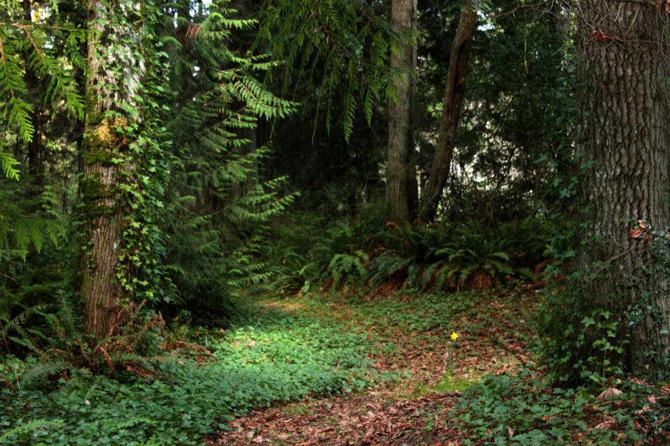 156888_4605201570050_875512989_n