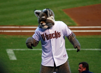 DBaxter_display_image