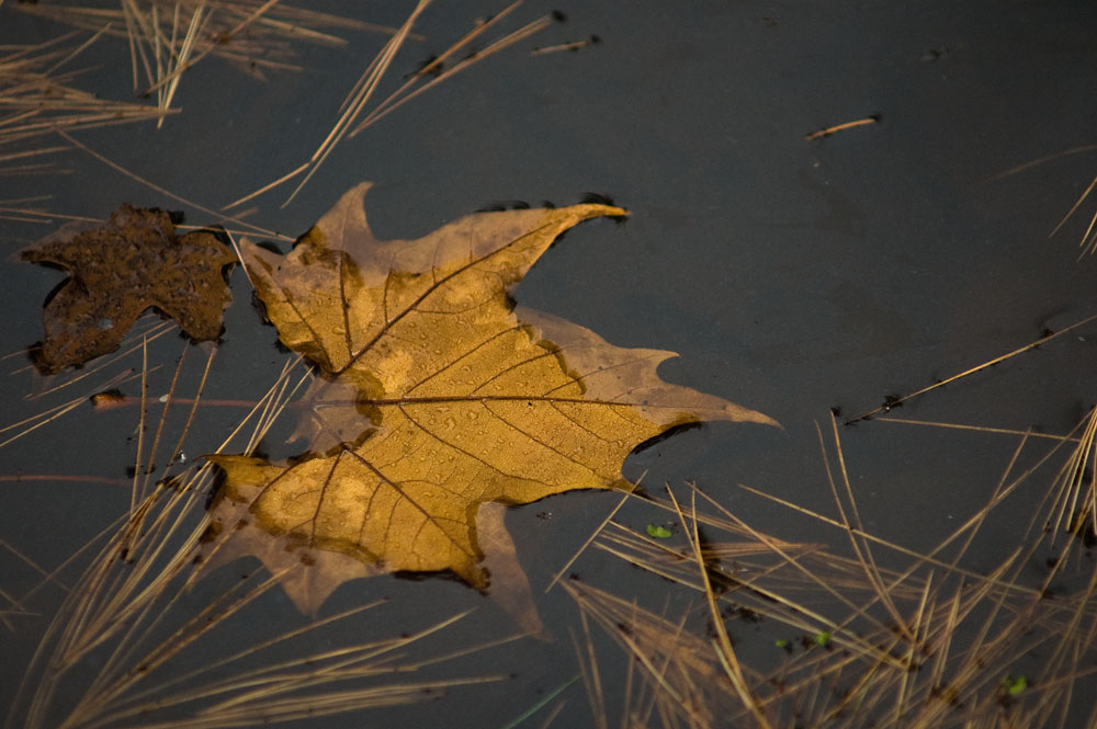 1653913231_ea52dd0e6a_o