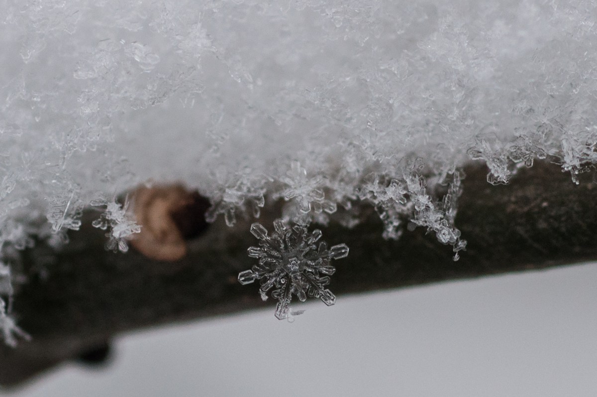 8398347817_140013f022_o