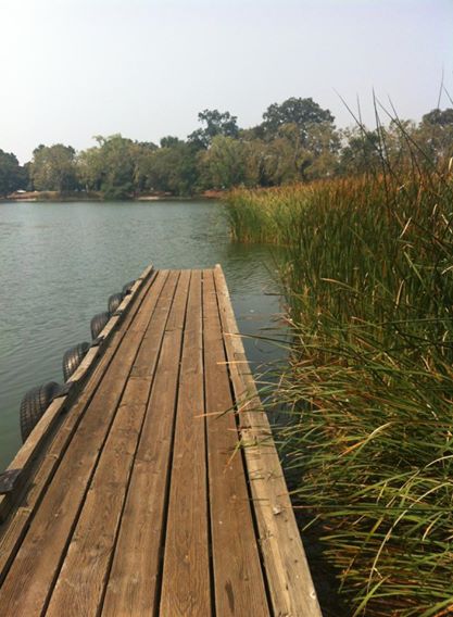 999513_10200221674046529_1343406425_n