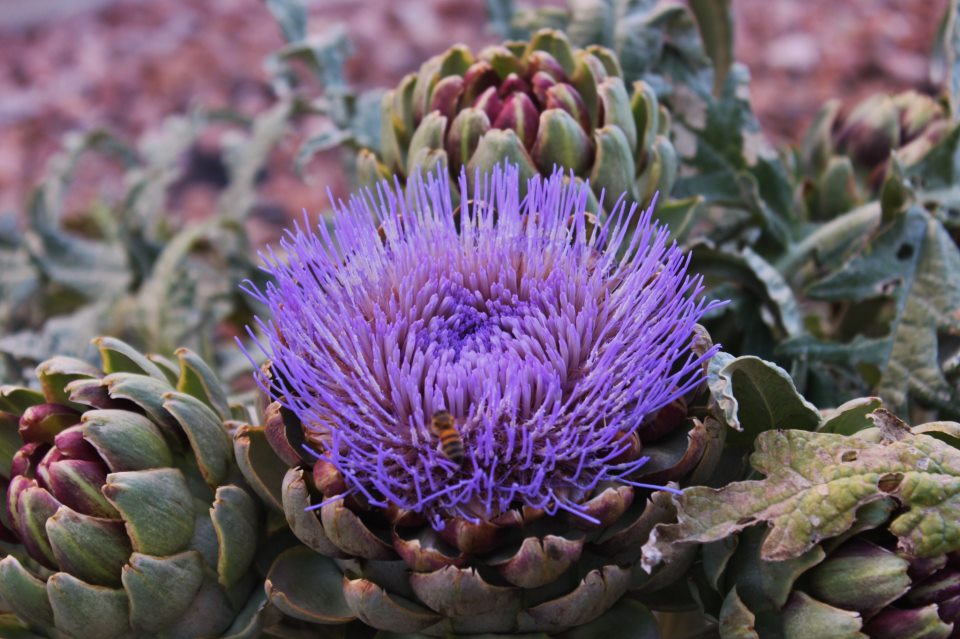 10442_3757979670032_1127498526_n