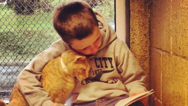 Photo-of-boy-reading-to-cat-attracts-national-attention