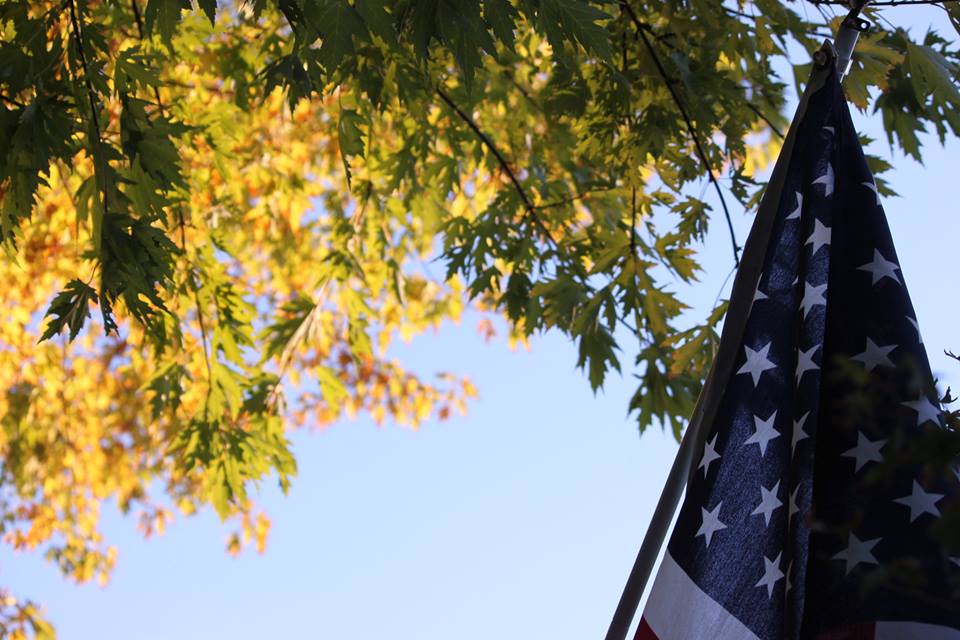 10599349_10202525007148417_2971259069793279532_n