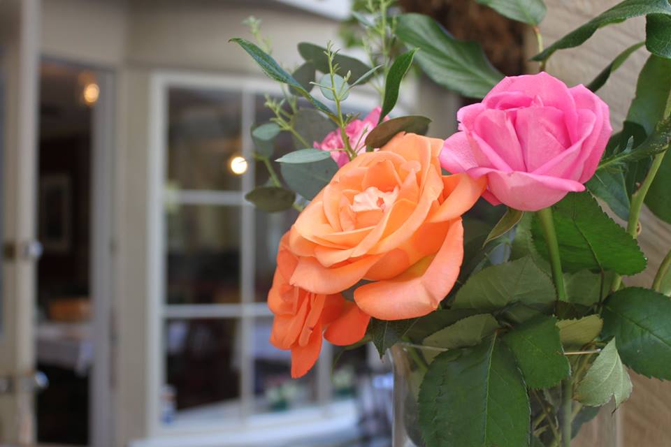 1495538_10201586429244556_1060515917_n