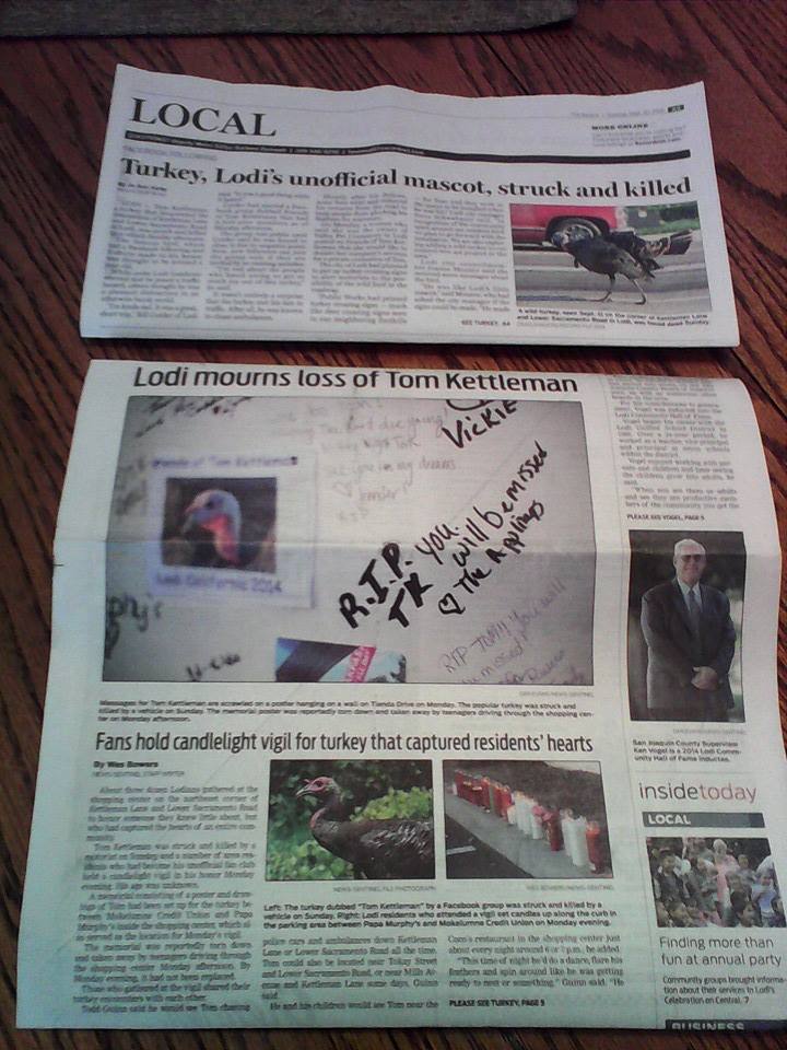 Tom Kettleman article