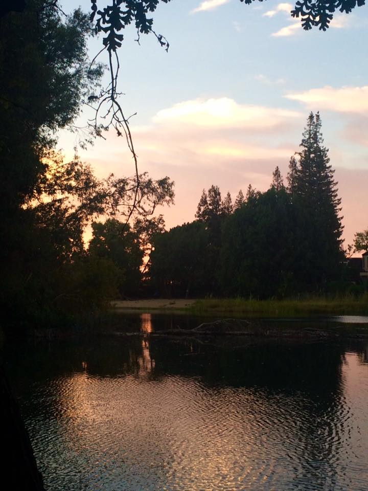 14142061_10206911059236978_5951114380666405910_n