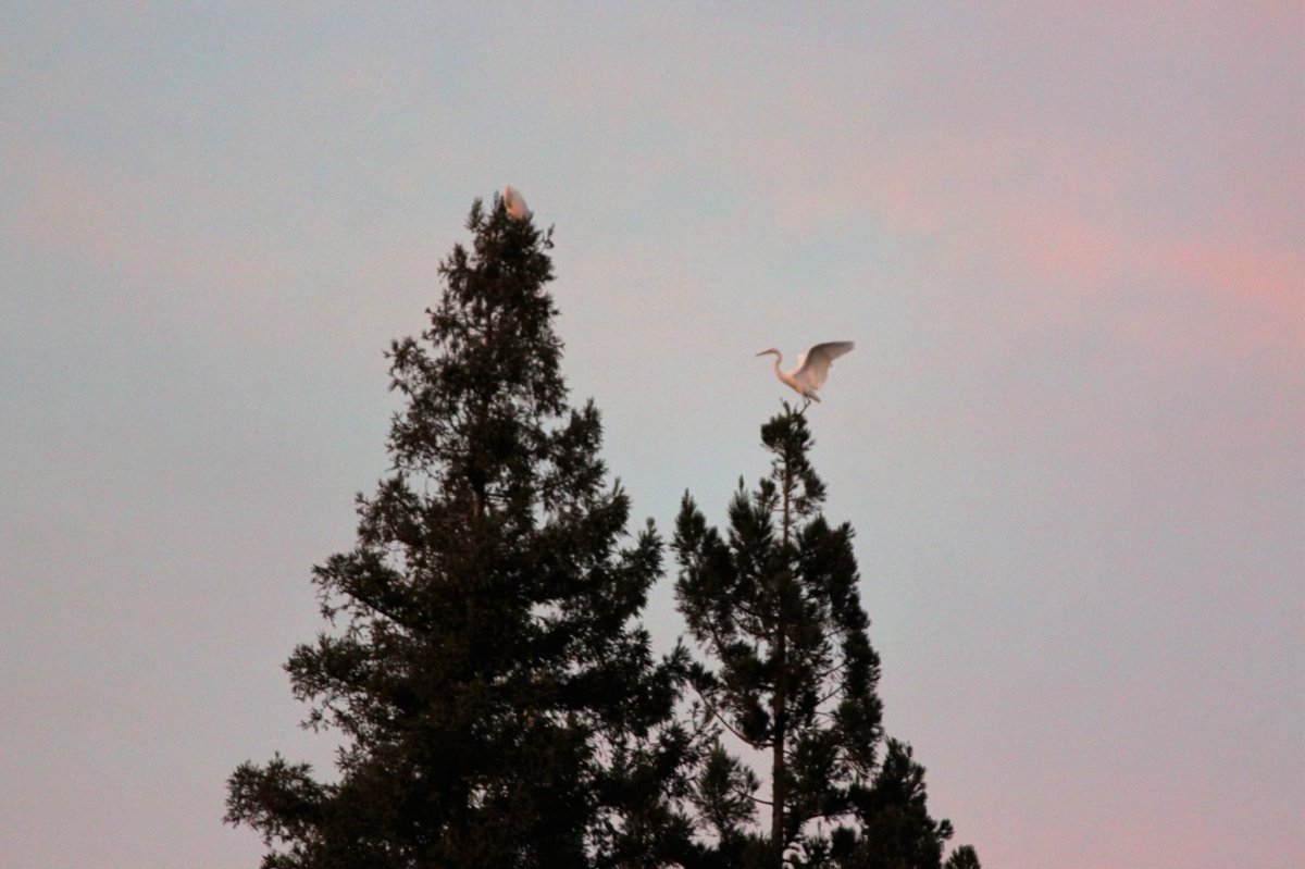 14700909_10207300437451190_3198335379798460464_o