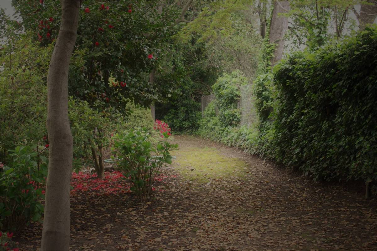 17546933_10208634148513133_4646249197796055125_o