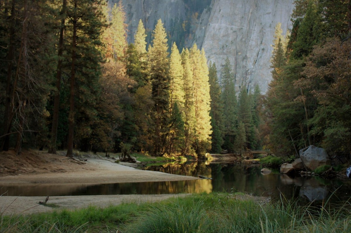 A2DA5E0E-C3A6-4423-82AF-B185C2EDA829