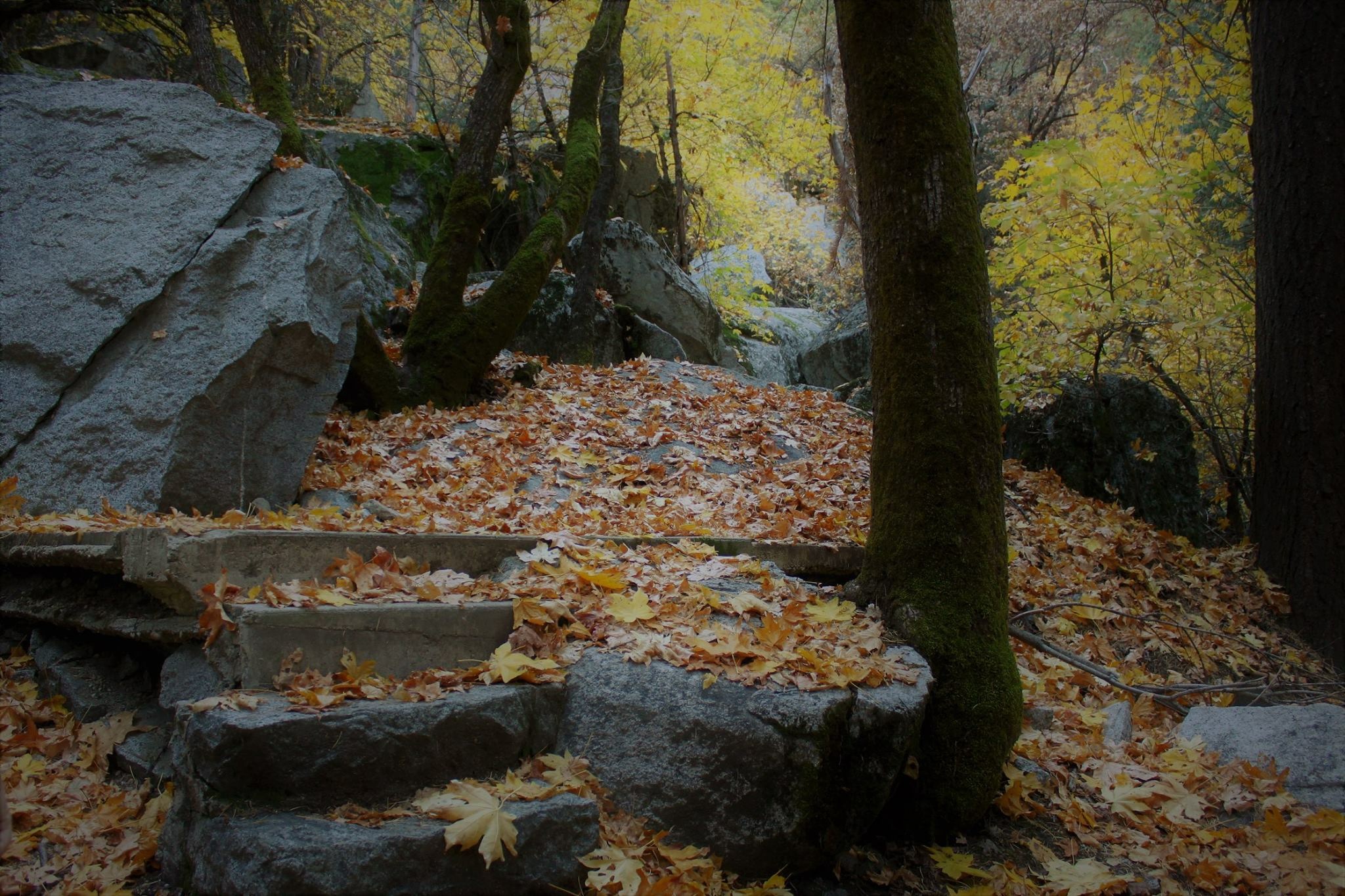 C4A6EC77-02D9-4DD4-84F9-6D58F13C16C7