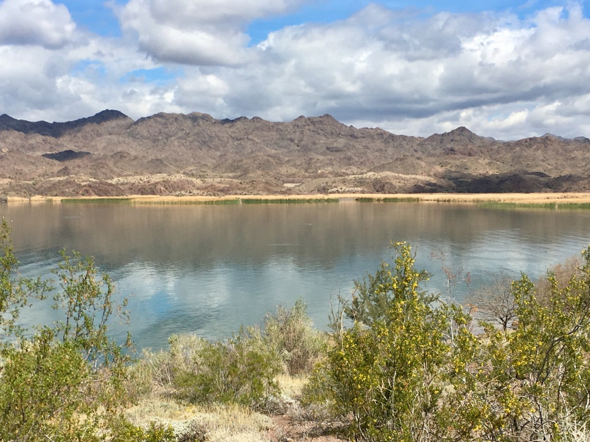 8EDAA6E8-2F54-48AF-8992-9A0445FE1B0F