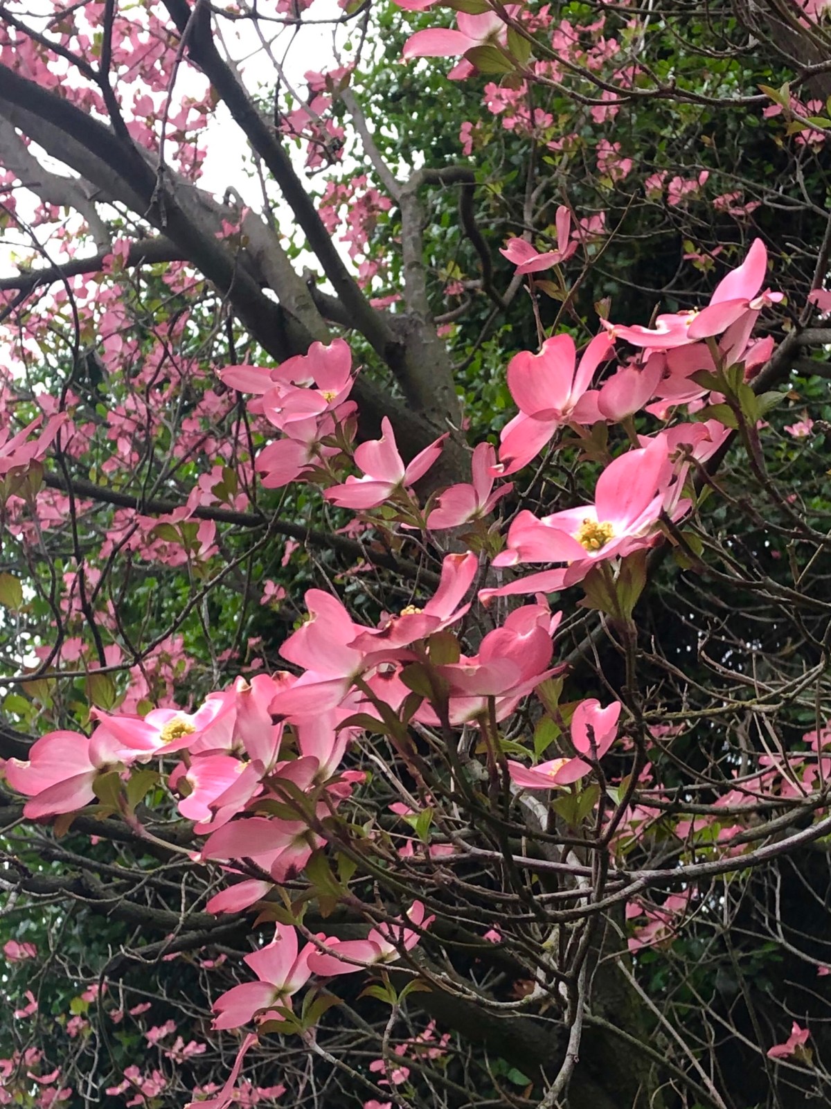 26C6F6AE-0043-4D50-B0B1-2A955722780D