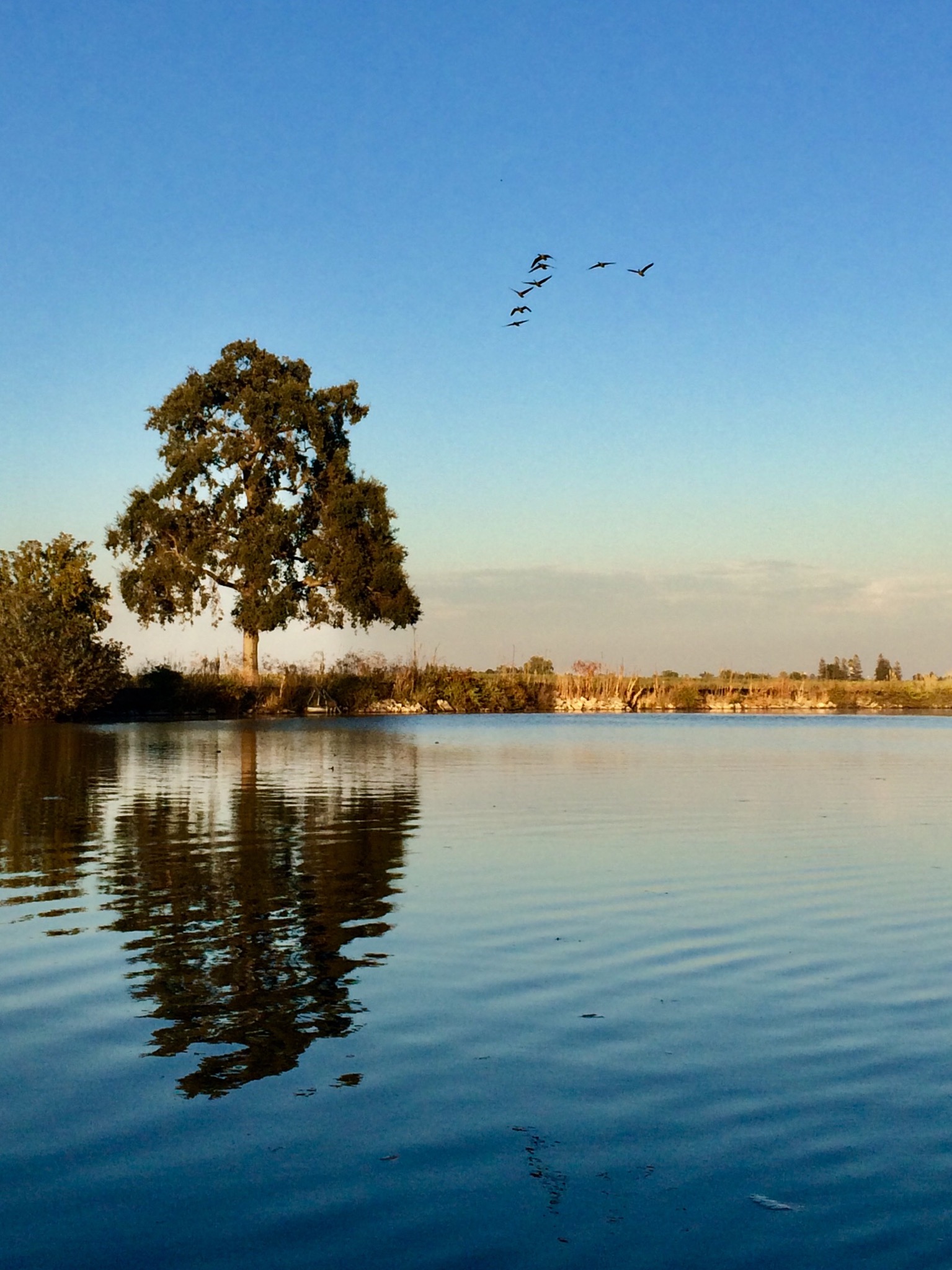 6B5D5041-2B90-44FD-9056-BD80EC412233