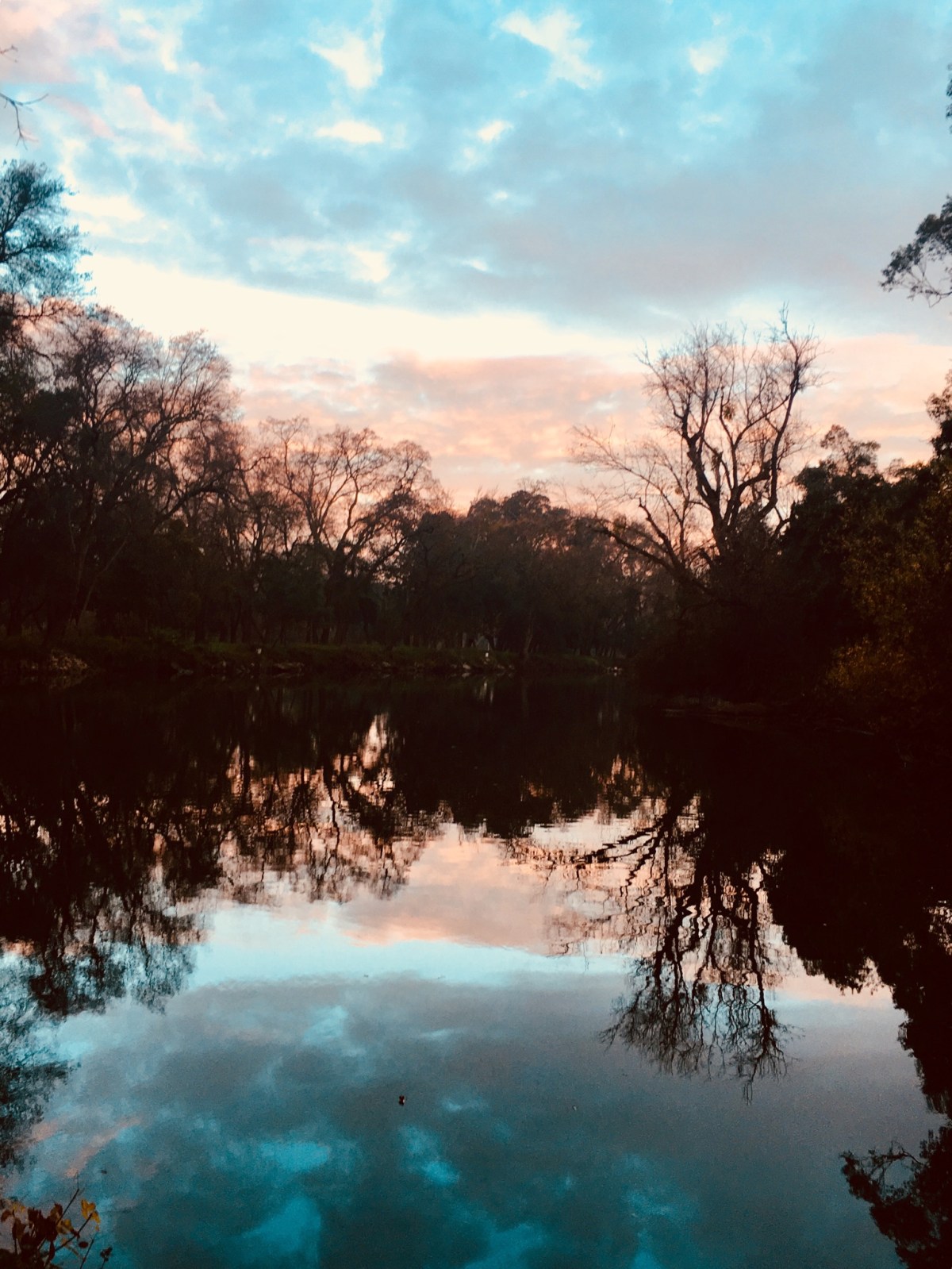 F054CC07-1DE0-4520-9463-D03B1BB1DDEC