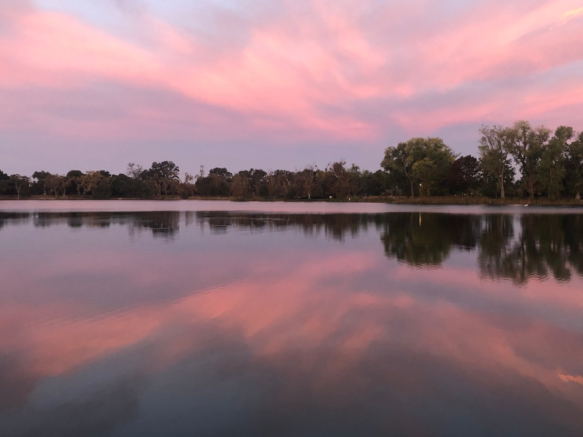 55AE4EA6-075D-4BA8-A387-7FEC65655AB0