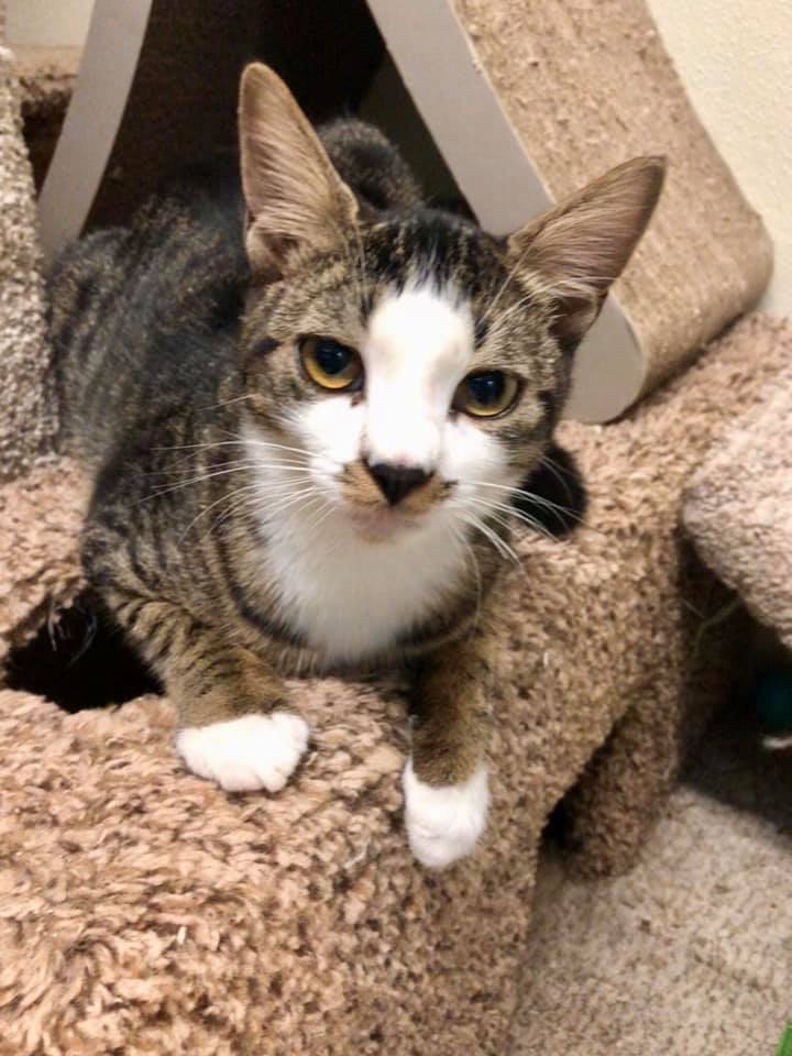 F0880390-FAEB-433D-9323-5AC81AA72833