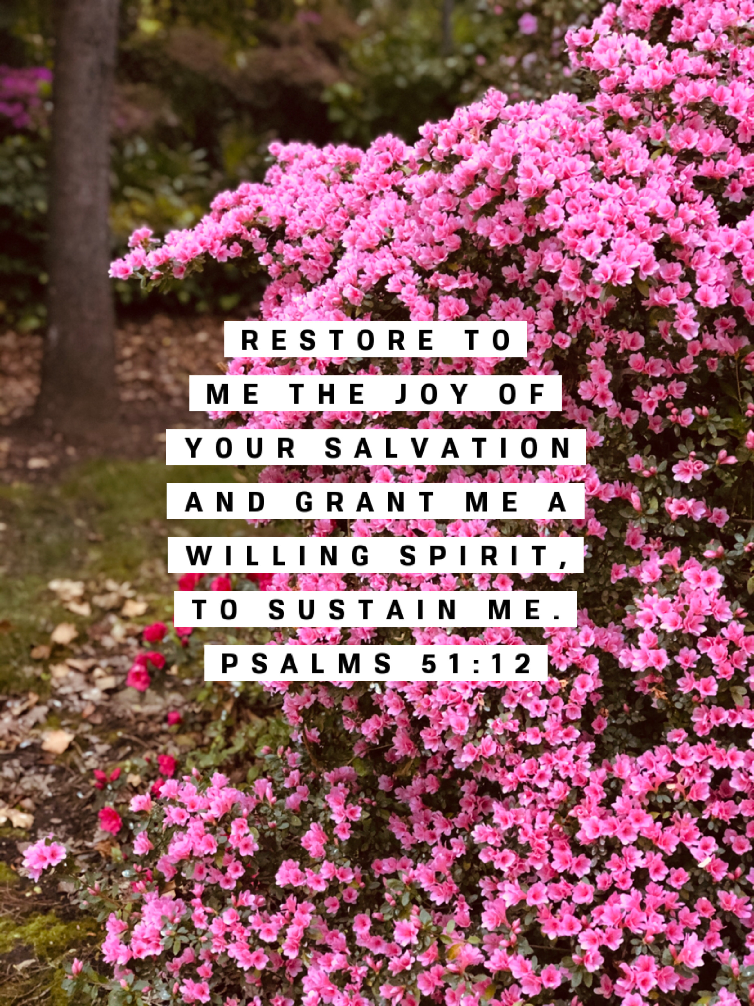 F01300F8-4737-494C-88CC-298A018DF7CA